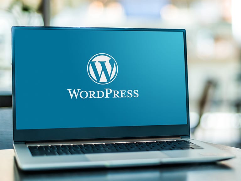 WordPress el sistema gestor de contenidos más utilizado del mundo.